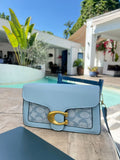 Coach Bag 1